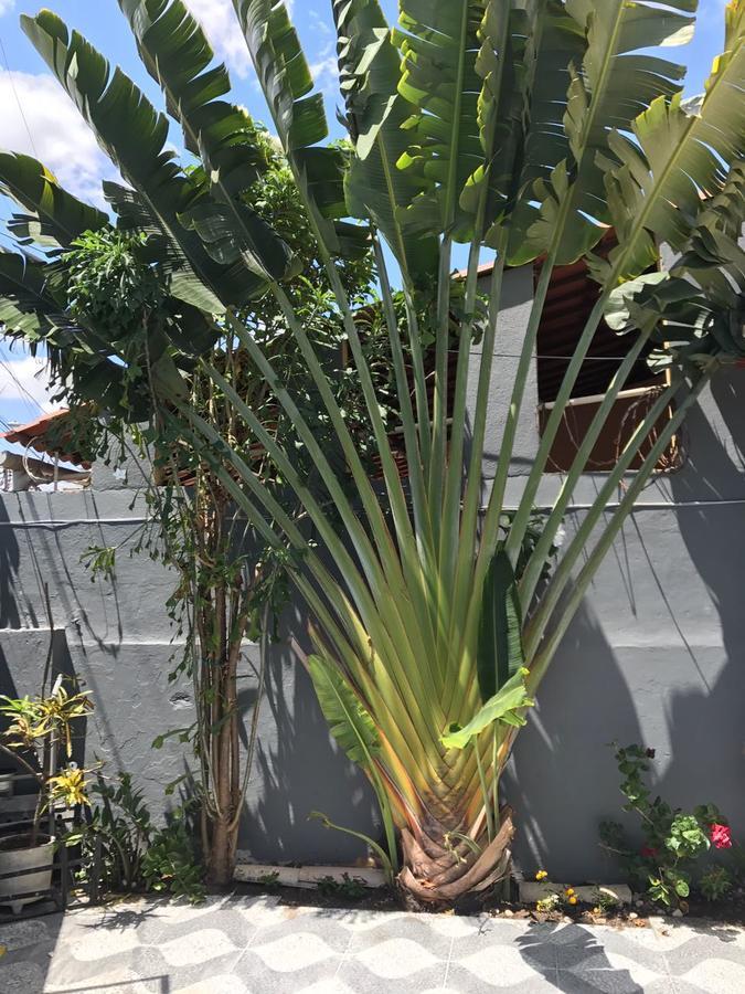 Guilherme Hostel Fortaleza  Ngoại thất bức ảnh